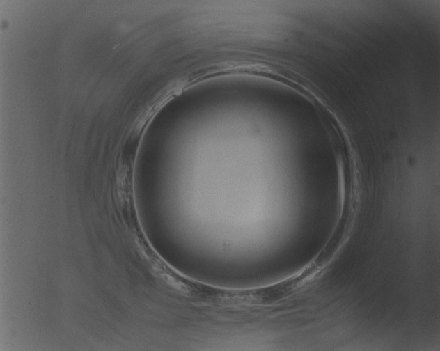 X0000053071001200507181621