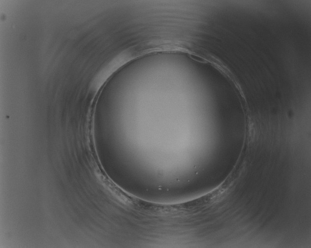 X0000053071002200507181621