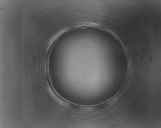 X0000053071003200507181621