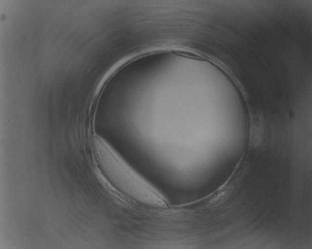 X0000053071004200507181621