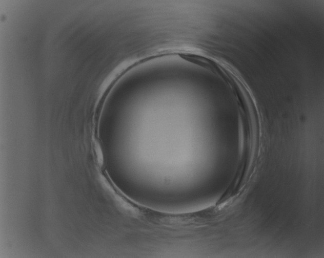 X0000053071005200507181621