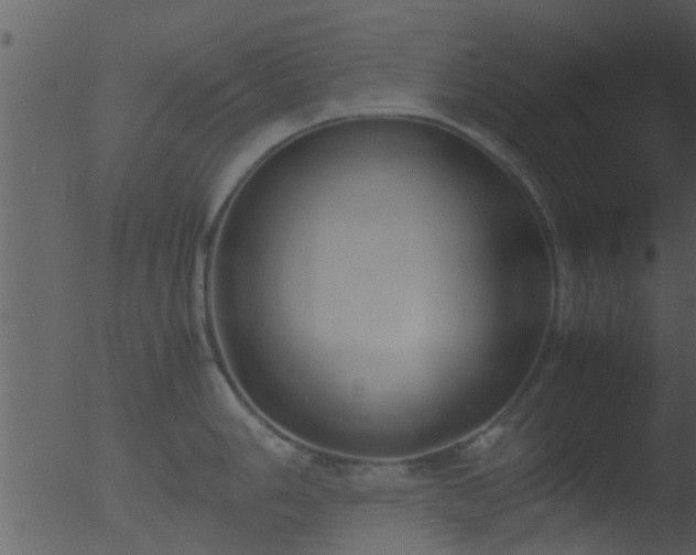 X0000053071006200507181621