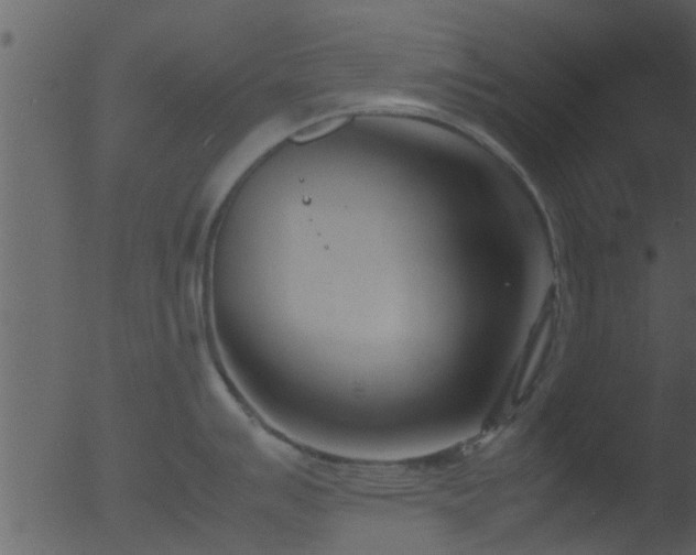 X0000053071007200507181621