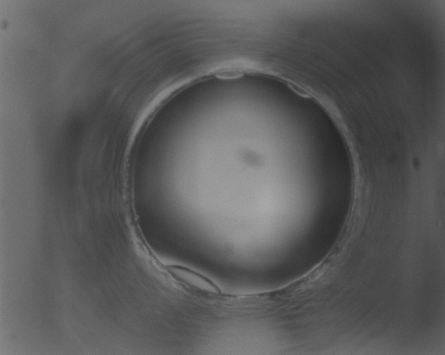 X0000053071008200507181621