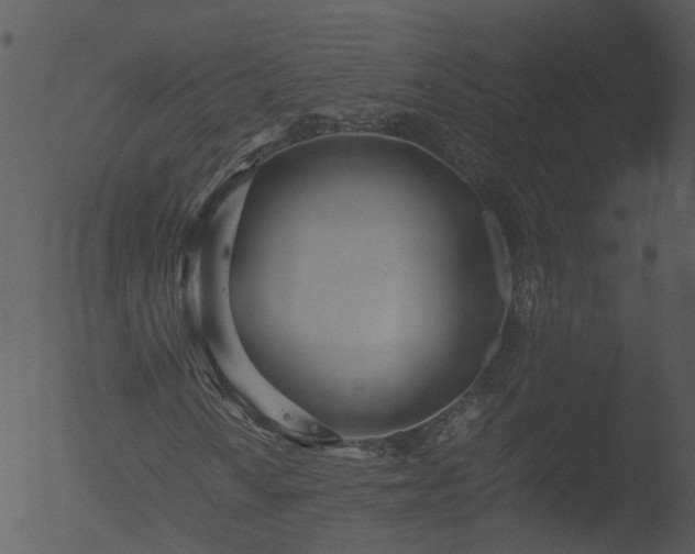 X0000053071010200507181620