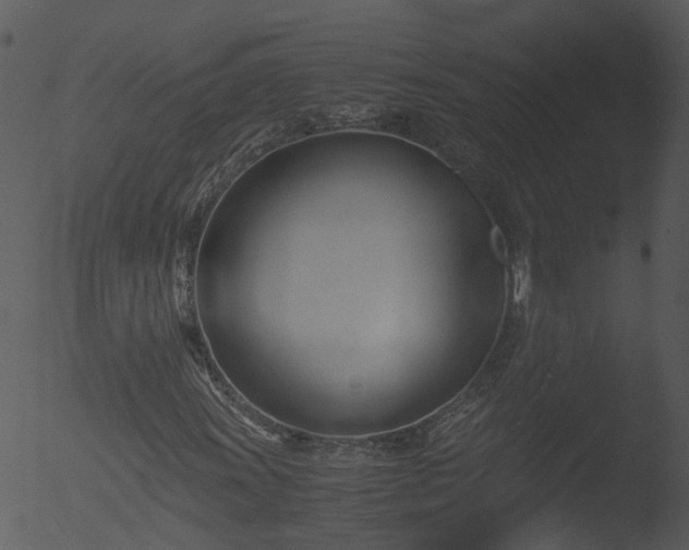 X0000053071011200507181620