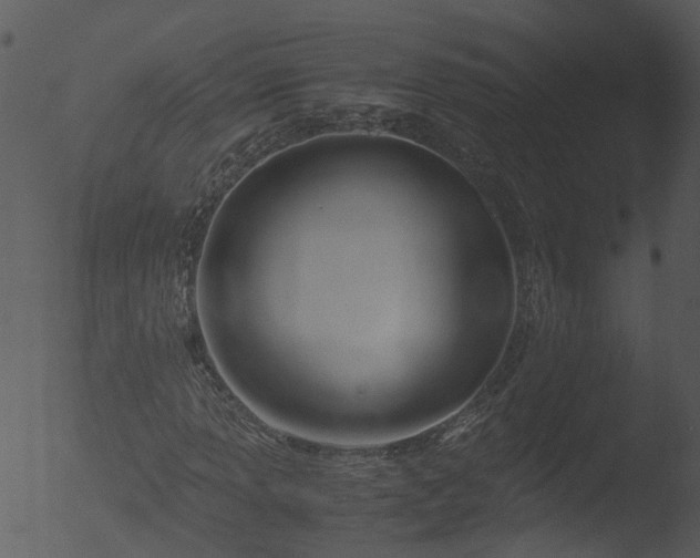 X0000053071013200507181620