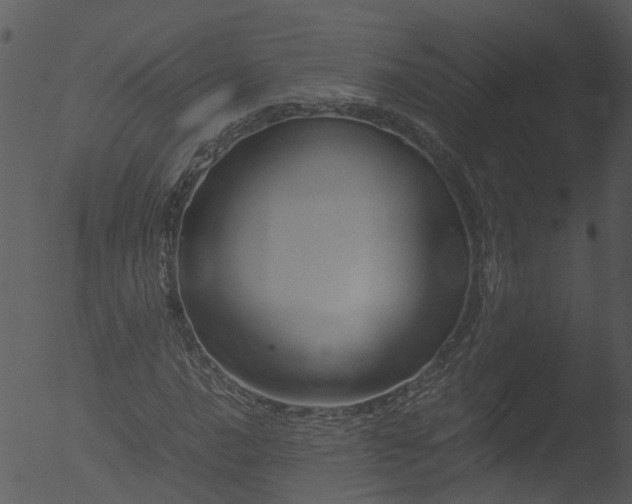 X0000053071016200507181620