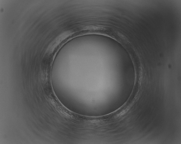 X0000053071017200507181620