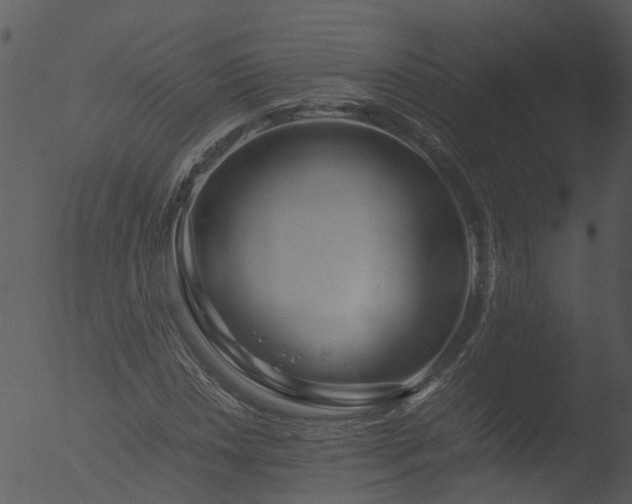 X0000053071018200507181620