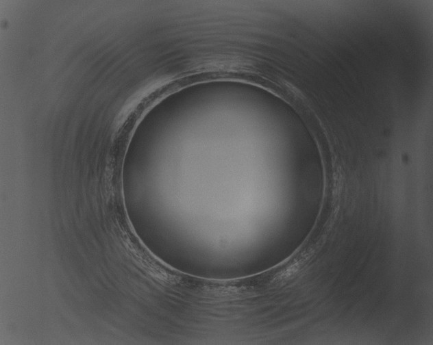 X0000053071019200507181620