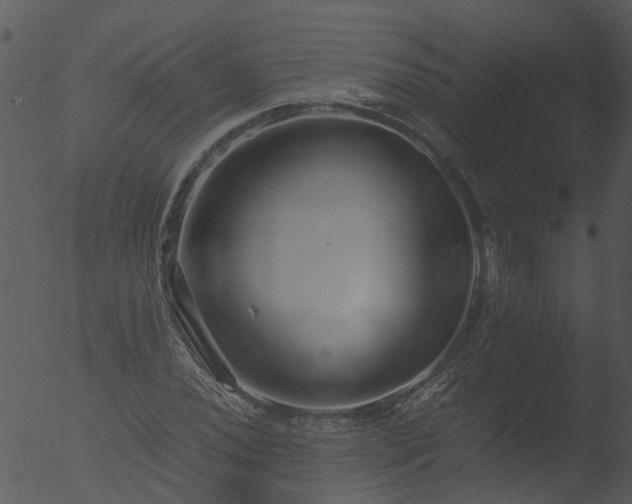 X0000053071020200507181620