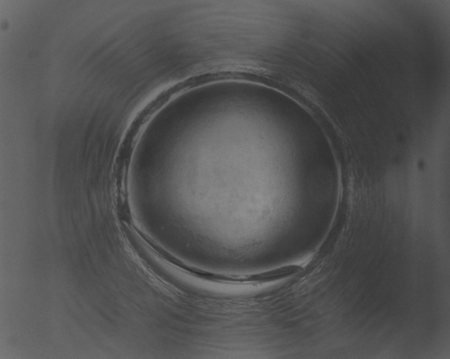 X0000053071024200507181620