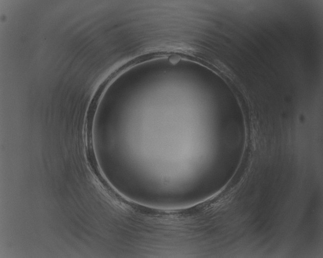 X0000053071028200507181621