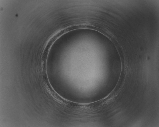 X0000053071029200507181621