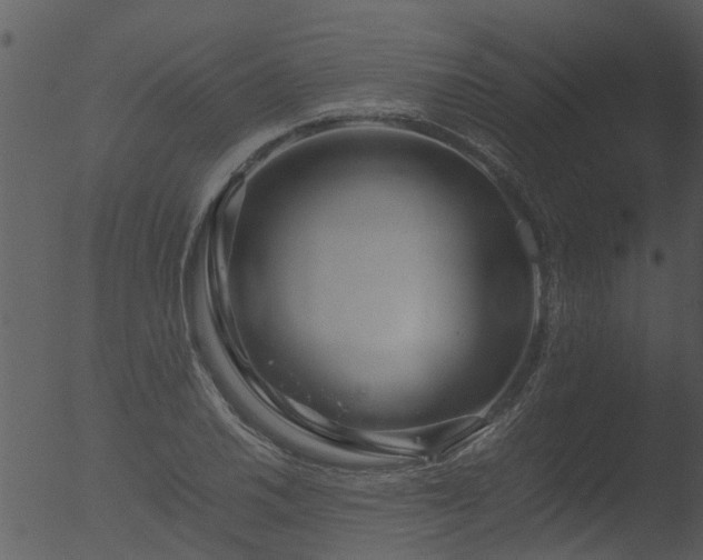 X0000053071030200507181621