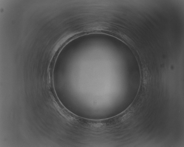 X0000053071031200507181621