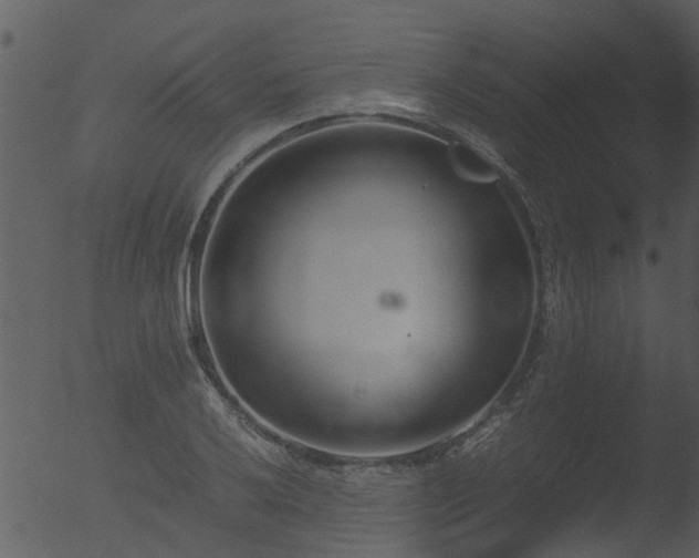 X0000053071032200507181621