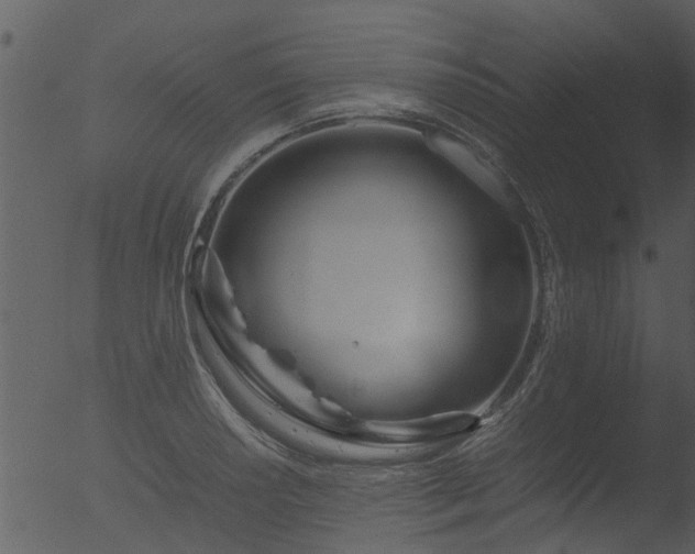 X0000053071034200507181621