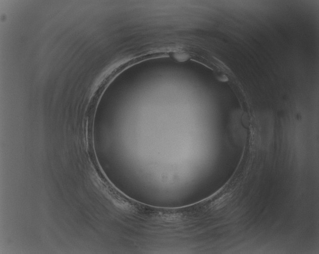 X0000053071035200507181621