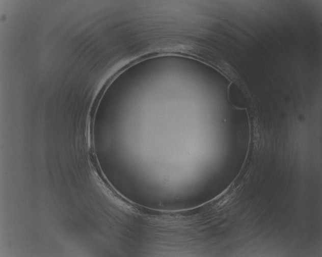 X0000053071036200507181621