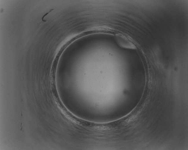 X0000053071037200507181621