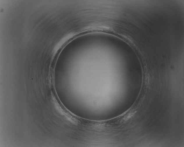 X0000053071038200507181621