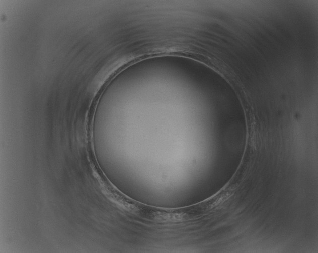 X0000053071039200507181621