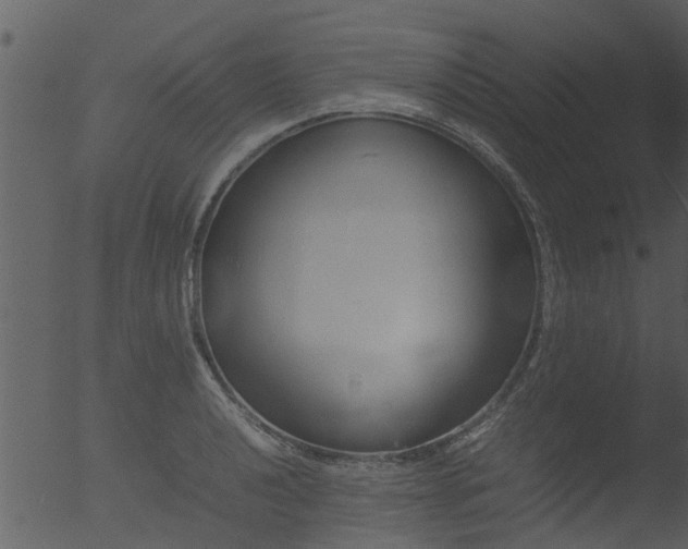 X0000053071040200507181621