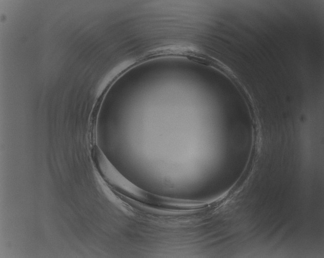 X0000053071042200507181621