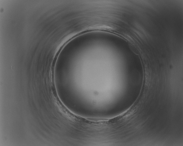 X0000053071044200507181621