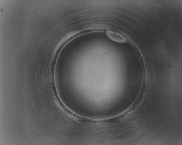 X0000053071045200507181621