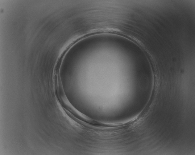 X0000053071046200507181621