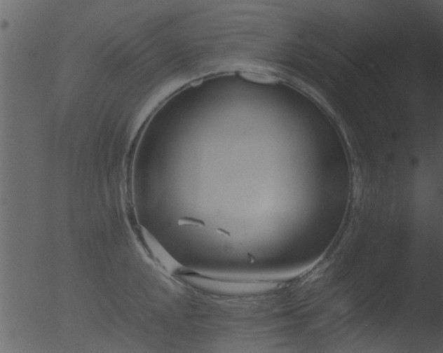 X0000053071048200507181621