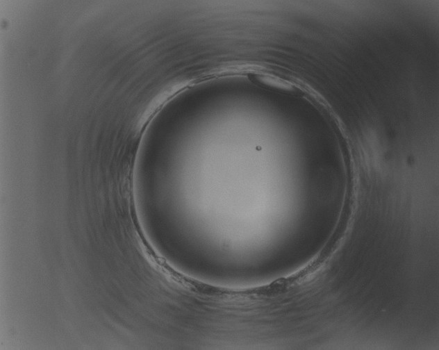 X0000053071049200507181621