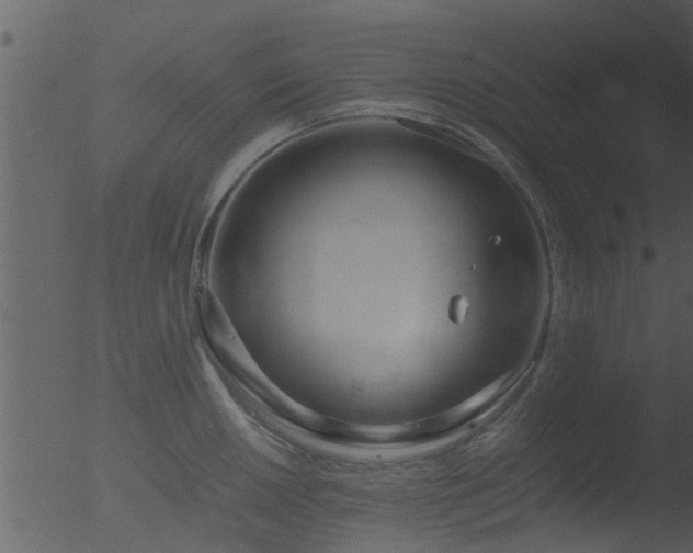 X0000053071050200507181621