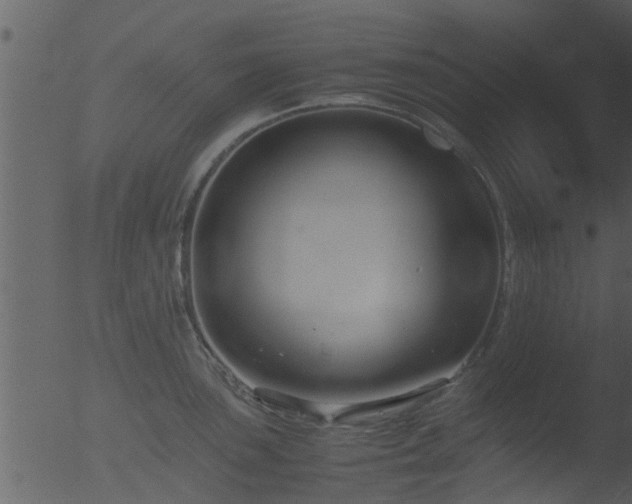 X0000053071051200507181621