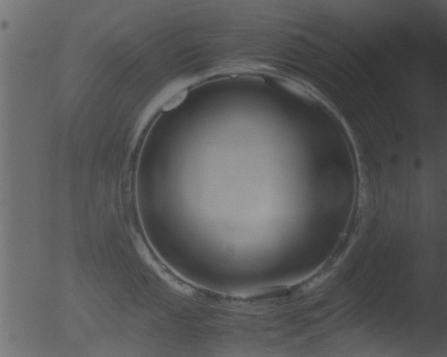 X0000053071053200507181621