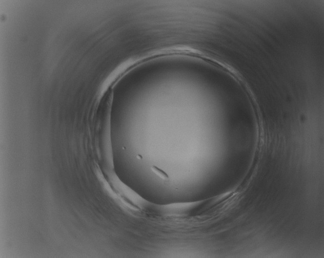 X0000053071054200507181621