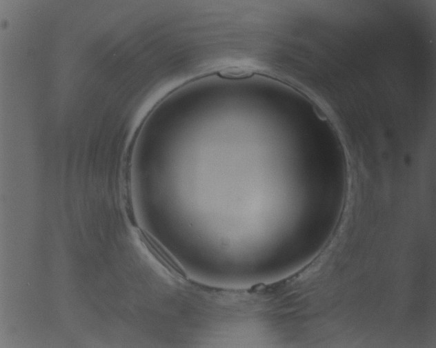 X0000053071056200507181621