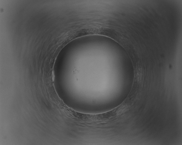 X0000053071057200507181620