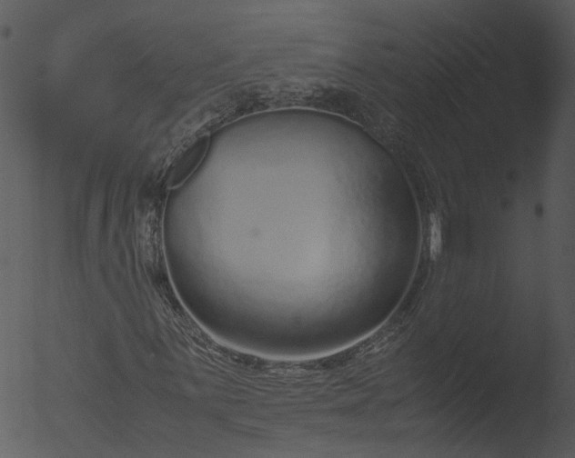 X0000053071059200507181620