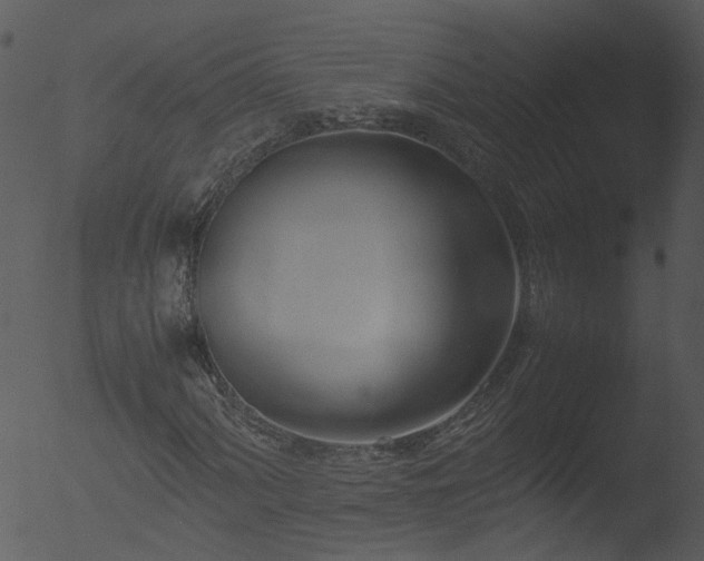 X0000053071060200507181620