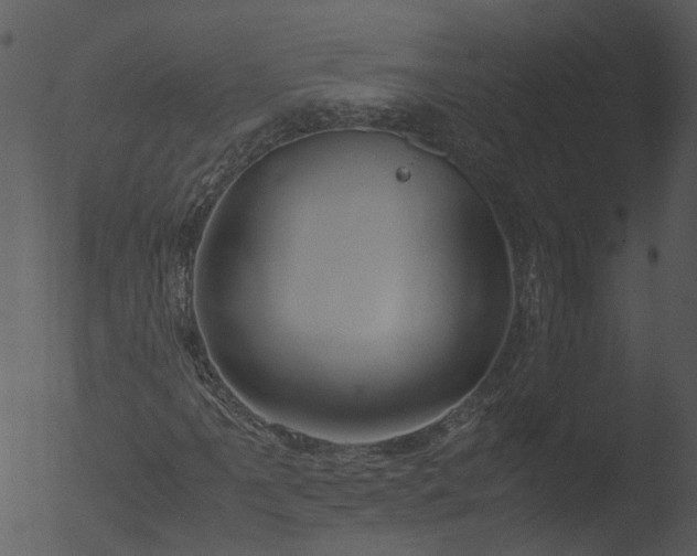 X0000053071061200507181620