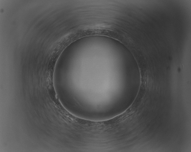 X0000053071062200507181620