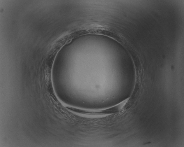 X0000053071063200507181620