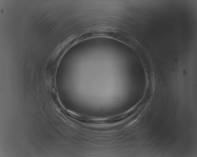 X0000053071065200507181620