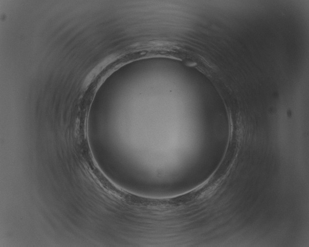 X0000053071066200507181620