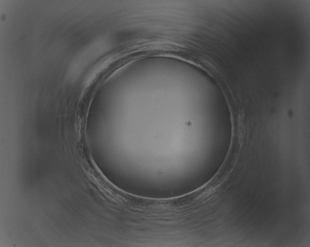 X0000053071067200507181620