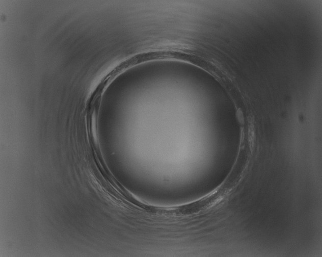 X0000053071069200507181620